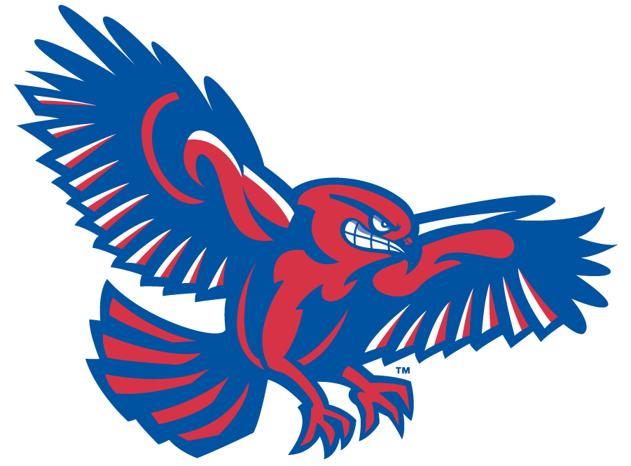 UMass Lowell River Hawks 2006-2012 Secondary Logo v3 iron on transfers for T-shirts